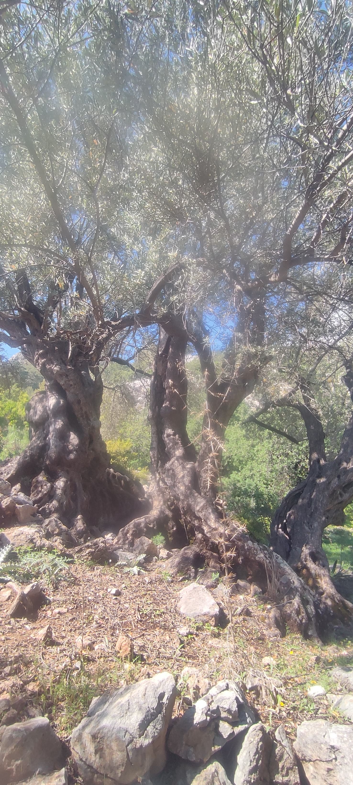 Şantiye Çalışması