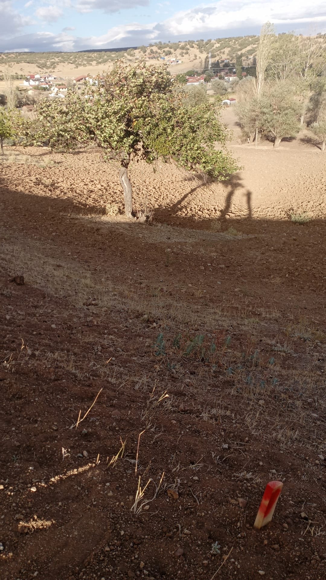 Şantiye Çalışması